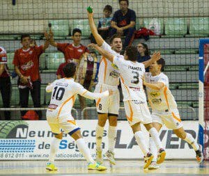 Murcia, LNFS, campeonato de Liga Regular Futbol Sala, encuentro entre ElPozo Murcia FS vs aspil Vidal Ribera Navarra, jornada 11, Palacio de los deportes de Murcia, Temporada 2015-2016.